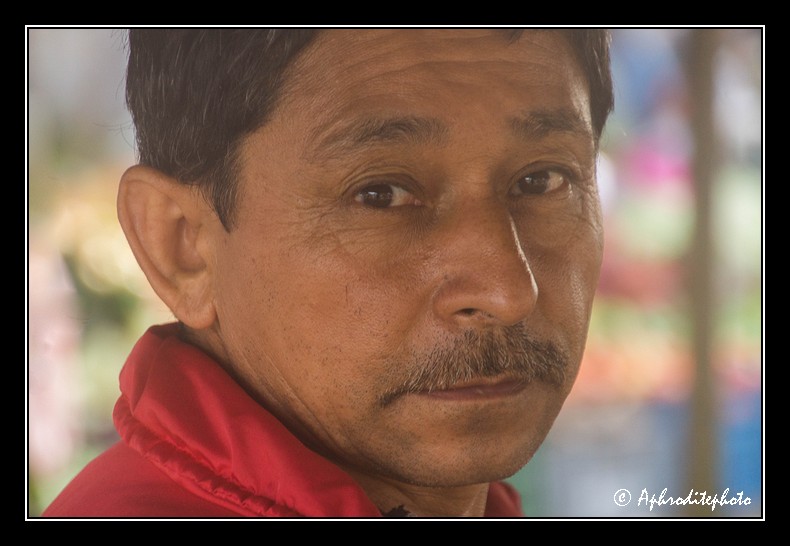 Columbia portraits 30